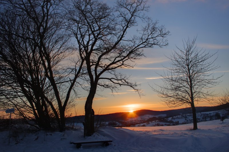 Winter 18.12.2010_6.JPG